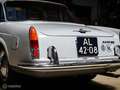 Fiat 1500 Coupe Pininfarina Grau - thumbnail 6