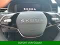 Skoda Kamiq 1.5 TSI DSG Premium,AHK,el.HK,NAVI,beh.FS Weiß - thumbnail 22