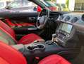 Ford Mustang GT 5.0 V8 10G-Autom. Virtual ACC Rojo - thumbnail 11