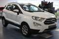 Ford EcoSport 1.0 EcoBoost 125ch S&S BVA6 Titanium Blanc - thumbnail 3