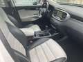 Kia Sorento Platinum Edition 4WD|Pano|ACC|Navi|Cam Weiß - thumbnail 3