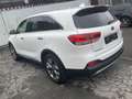 Kia Sorento Platinum Edition 4WD|Pano|ACC|Navi|Cam Weiß - thumbnail 6
