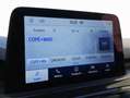 Ford Kuga 2.5 Duratec PHEV ST-Line Auto 165 kW (225 CV) Azul - thumbnail 19