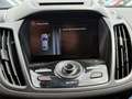 Ford Kuga Individual Automatik Navi Kamra AHK Gris - thumbnail 14