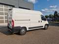 Fiat Ducato L2 H2Werkstatt Standheizung Klimaaut AHK Weiß - thumbnail 5