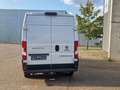 Fiat Ducato L2 H2Werkstatt Standheizung Klimaaut AHK Weiß - thumbnail 6