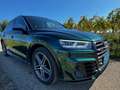 Audi SQ5 SQ5 3,0 TFSI quattro S-tronic Grün - thumbnail 11
