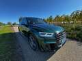 Audi SQ5 SQ5 3,0 TFSI quattro S-tronic Grün - thumbnail 10