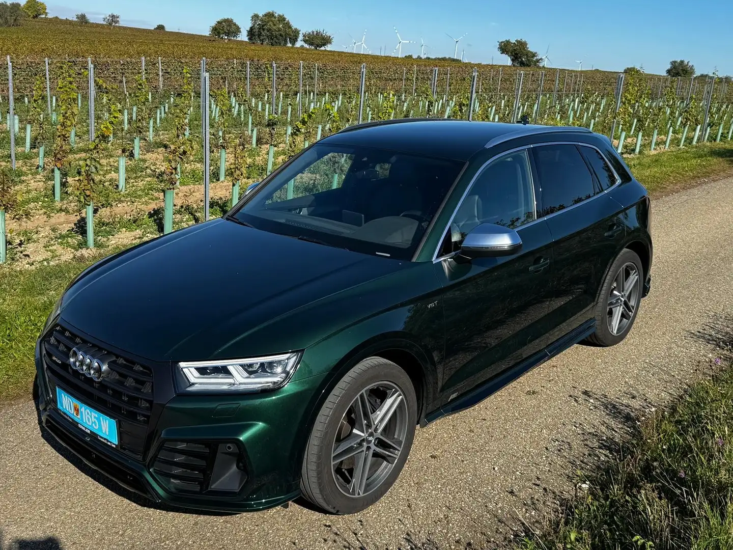Audi SQ5 SQ5 3,0 TFSI quattro S-tronic Grün - 2