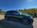 Audi SQ5 SQ5 3,0 TFSI quattro S-tronic Grün - thumbnail 9