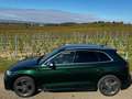 Audi SQ5 SQ5 3,0 TFSI quattro S-tronic Grün - thumbnail 4