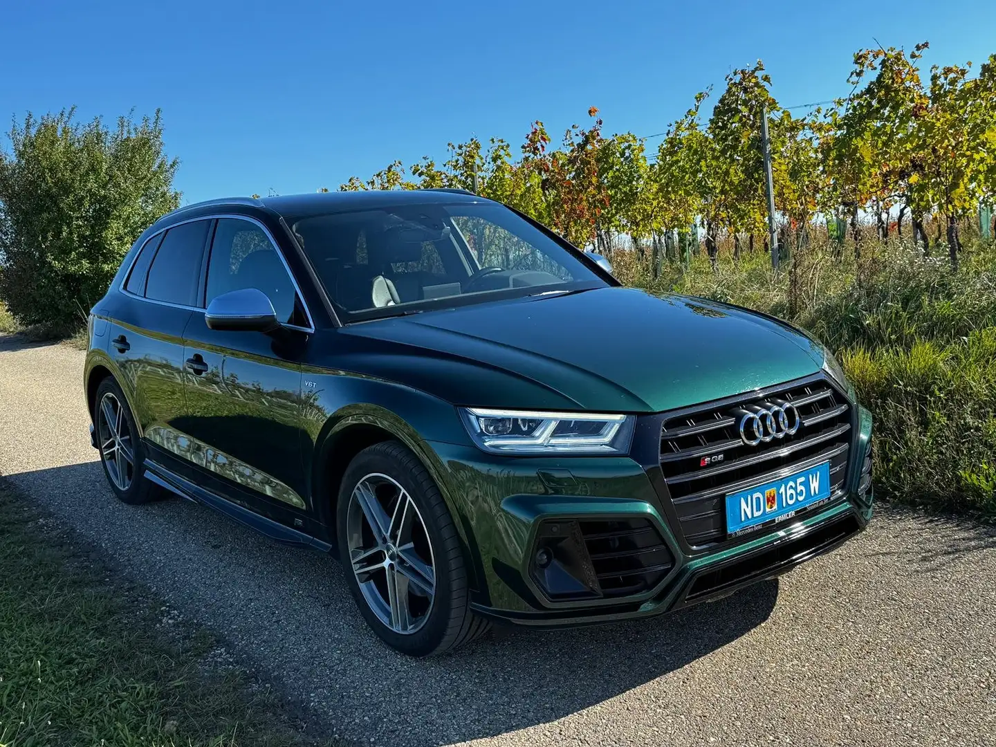 Audi SQ5 SQ5 3,0 TFSI quattro S-tronic Grün - 1