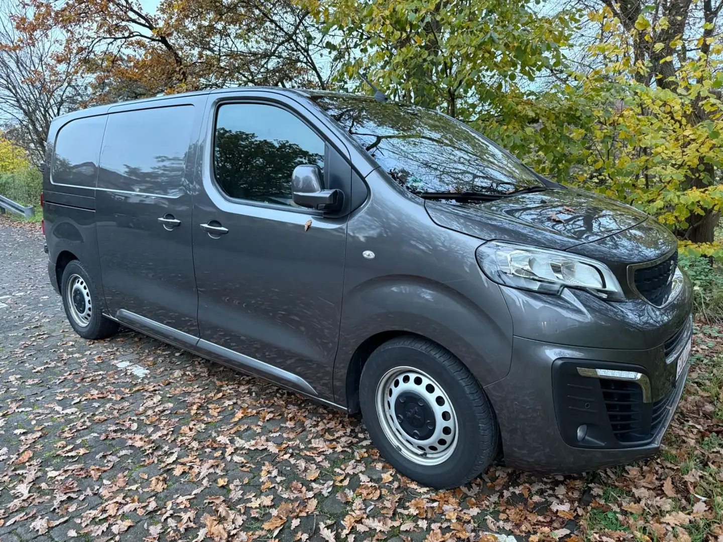 Peugeot Expert Kasten Premium L2 Braun - 1