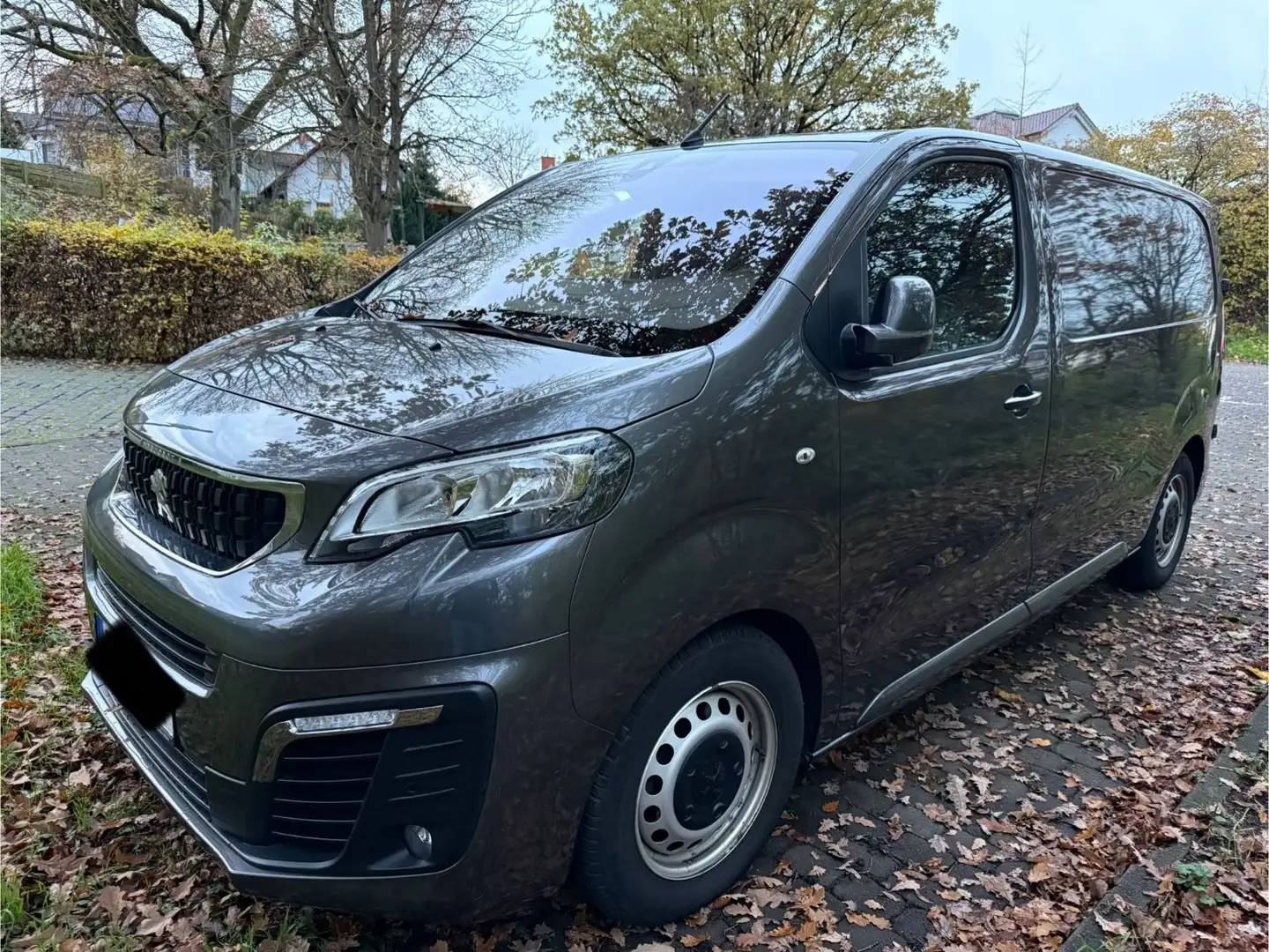 Peugeot Expert Kasten Premium L2 Braun - 2