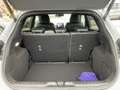 Ford Puma ST 1.5 EB X LED+NAV+ACC+SHZ+RFK+GRA+DAB+PLA Grau - thumbnail 14