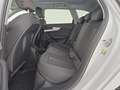 Audi A4 A4 Avant 40 g-tron S tronic Business Advanced Bianco - thumbnail 10