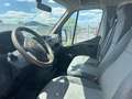 Renault Master Kipper Wit - thumbnail 7