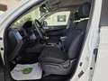 SsangYong Musso Sports D22DTR 4x4 Pro Blanco - thumbnail 21