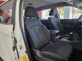 SsangYong Musso Sports D22DTR 4x4 Pro Blanco - thumbnail 37