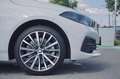 BMW 120 i Hatch Advantage Head-Up HK HiFi DAB LED Weiß - thumbnail 13