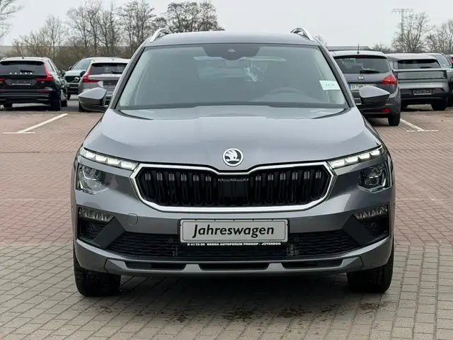 Skoda Kamiq view 11