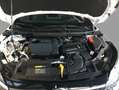 Nissan Qashqai 1,3 MHEV N-Connecta Aut. Weiß - thumbnail 17