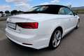 Audi A5 Cabrio 2,0 TDI sport S-tronic *S-Line*Virtual*M... Weiß - thumbnail 4