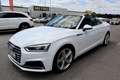Audi A5 Cabrio 2,0 TDI sport S-tronic *S-Line*Virtual*M... Weiß - thumbnail 24