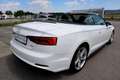 Audi A5 Cabrio 2,0 TDI sport S-tronic *S-Line*Virtual*M... Weiß - thumbnail 19