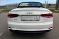 Audi A5 Cabrio 2,0 TDI sport S-tronic *S-Line*Virtual*M... Weiß - thumbnail 25