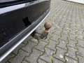 Volkswagen Golf VII 1,6 TDI Alltrack Variant BMT Allrad-AHK Noir - thumbnail 25