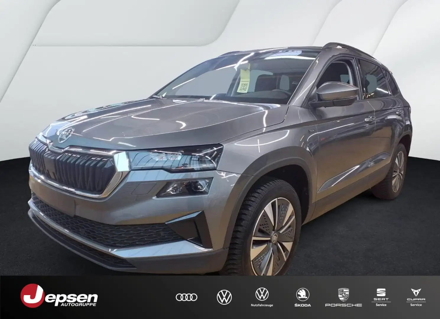 Skoda Karoq 1.5 TSI DSG Tour /AHK Grau - 1