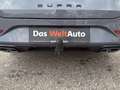 CUPRA Leon 2.0 TSI DSG 190 Grau - thumbnail 13