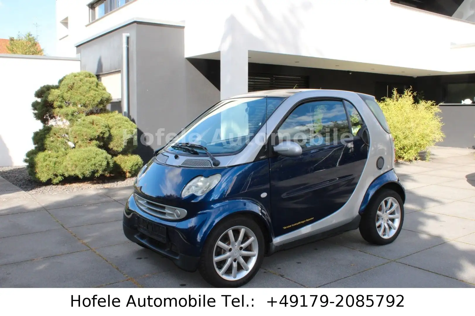 smart forTwo fortwo coupe**PANO/KLIMA** Bleu - 1
