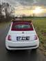 Fiat 500 Lounge Weiß - thumbnail 11