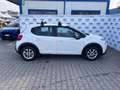 Citroen C3 PureTech 82 S&S Van Live Weiß - thumbnail 3
