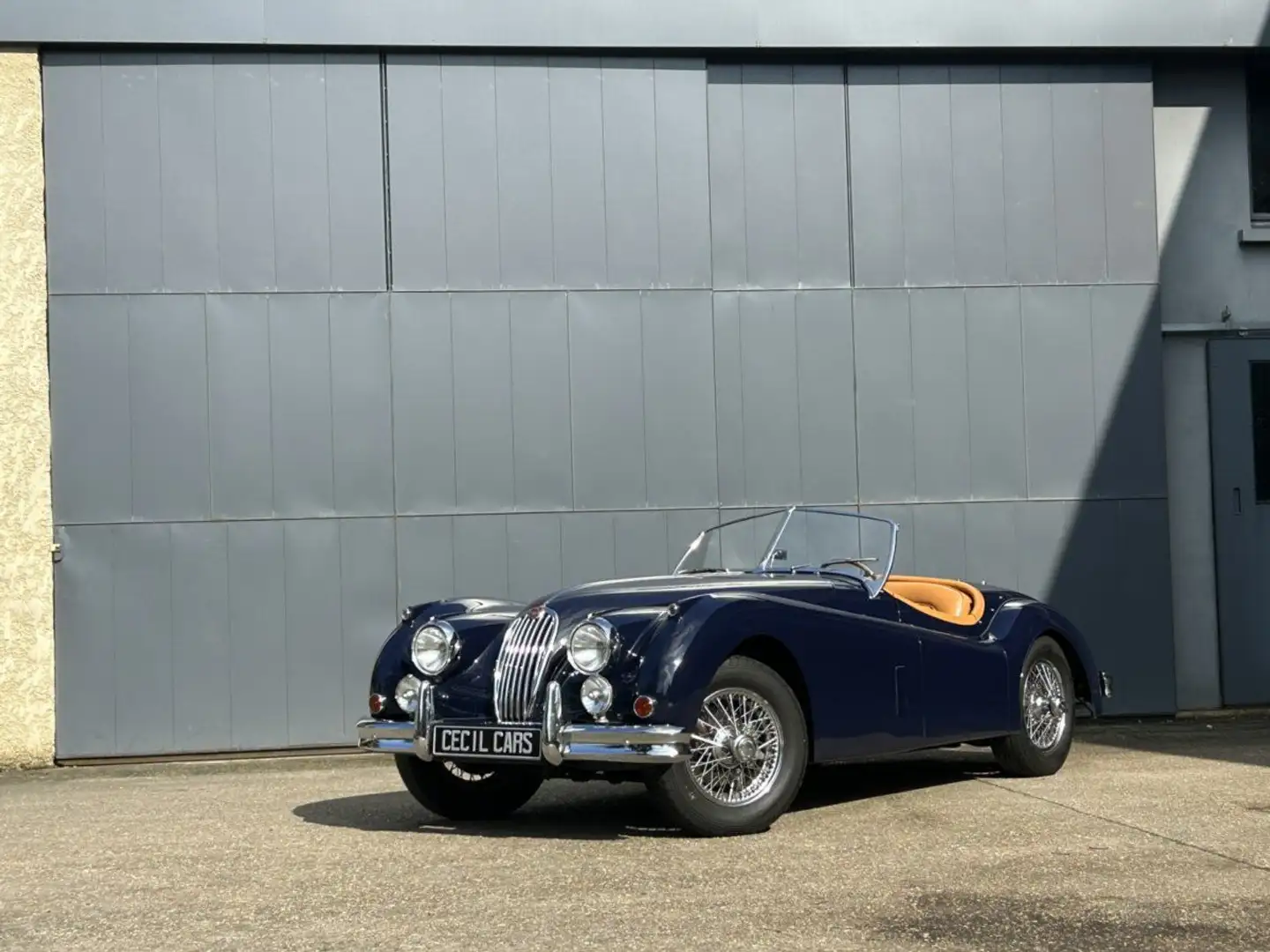 Jaguar XK OTS Blu/Azzurro - 1
