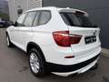 BMW X3 xDrive 20 d SHZ MFL AHK ALLRAD START/STOPP ZV Weiß - thumbnail 6
