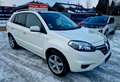 Renault Koleos Night&Day Automatic  4x4 AHK Weiß - thumbnail 1