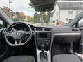 Volkswagen Golf VII 1.6 TDI BMT Start-Stopp PDC Grau - thumbnail 10