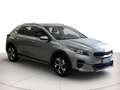 Kia XCeed 1.0 t-gdi Business Gpl 117cv Grau - thumbnail 18