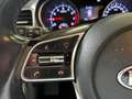 Kia XCeed 1.0 t-gdi Business Gpl 117cv Grau - thumbnail 21