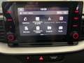 Kia XCeed 1.0 t-gdi Business Gpl 117cv Grau - thumbnail 10