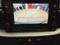 Kia XCeed 1.0 t-gdi Business Gpl 117cv Grau - thumbnail 11
