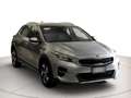 Kia XCeed 1.0 t-gdi Business Gpl 117cv Grau - thumbnail 2
