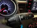 Kia XCeed 1.0 t-gdi Business Gpl 117cv Grau - thumbnail 23