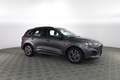 Ford Kuga Kuga 1.5 EcoBlue 120 CV aut. 2WD ST-Line Gris - thumbnail 2
