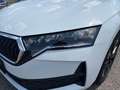 Skoda Octavia Kombi 1,5 TSI mHEV Essence DSG | AHK Weiß - thumbnail 33