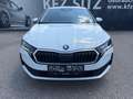 Skoda Octavia Kombi 1,5 TSI mHEV Essence DSG | AHK Weiß - thumbnail 8