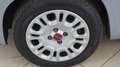 Fiat Panda 1.0 FireFly S&S Hybrid - thumbnail 14